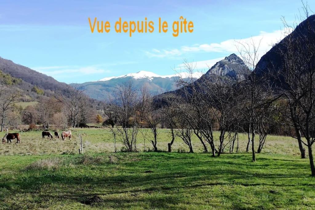 Grange En Pierres. Grand Jardin Et Belle Vue Villa Saurat Buitenkant foto