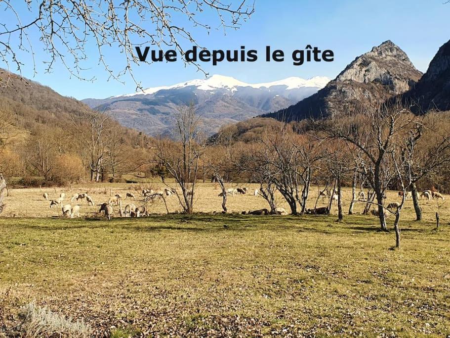 Grange En Pierres. Grand Jardin Et Belle Vue Villa Saurat Buitenkant foto